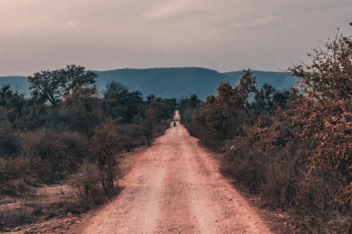 Long View The Price of integrity